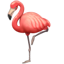 Whatsapp flamingo U+1F9A9